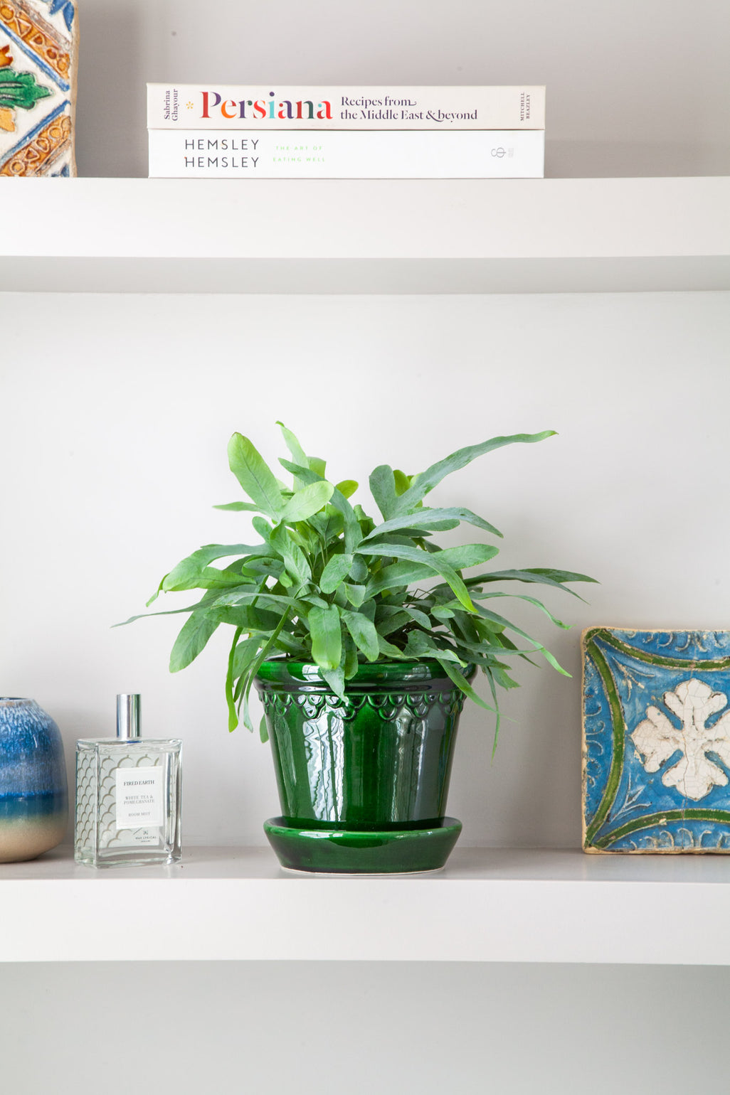 files/IndoorPlants_2-JamieShots20.11.2023-018.jpg